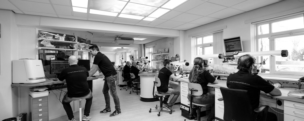 Gronings tandtechnisch laboratorium BV